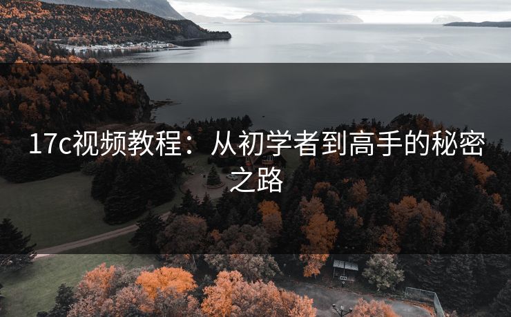 17c视频教程：从初学者到高手的秘密之路  第1张