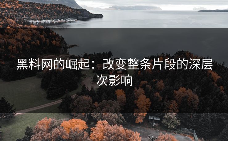 黑料网的崛起：改变整条片段的深层次影响  第1张