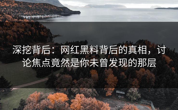 深挖背后：网红黑料背后的真相，讨论焦点竟然是你未曾发现的那层